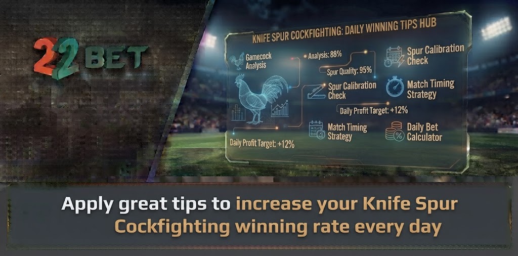 Apply great tips to increase your Knife Spur Cockfighting winning rate every day